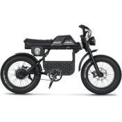 Resim Ape Ryder Gibbon Elektrikli Bisiklet 