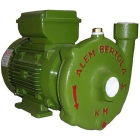 Resim Alem Bertola Km 0.75 Hp Monofaze Santrifüj Pompa 