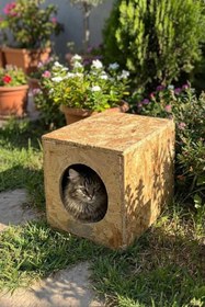 Resim Reyo Kedi Evi Dış Ortam Uygun Ahşap Kedi Evi OSB 34x27x24 cm MLD0CAT01 