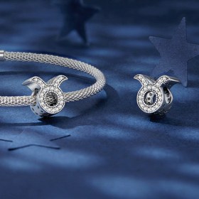 Resim Boğa Burcu Charm 