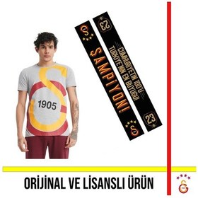 Resim Galatasaray Lisanslı Büyük Logolu Gri T-shirt Ve 23 Şampiyonluk Şal Atkı Gri 