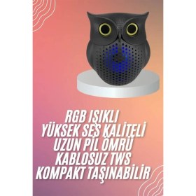 Resim Techno Stock Müzik Çalar Bluetooth Hoparlör Speaker 5.0 Kablosuz Baykuş Görünümlü 