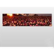 Resim Laleler Kanvas Tablo 210x70cm 