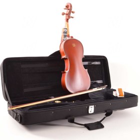 Resim Dominguez DVR44CRGM Gül Keman (4/4 Mat) | Tam Boy Mat Finish Sıcak Tonlar 