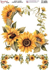 Resim Pirinç Dekopaj Kağıdı 30x42cm Pt-1484 