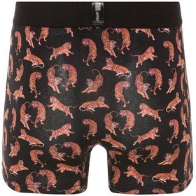 Resim Farm Animals Tigers Desenli Boxer 