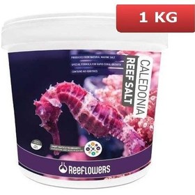 Resim Reeflowers Caledonia Reef Salt Akvaryum Deniz Tuzu 1 KG Açık 