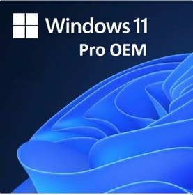 Resim Windows 11 Pro Oem Ürün Anahtarı 