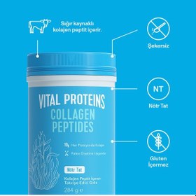 Resim Vital Proteins Collagen Peptides 284 Grx2 