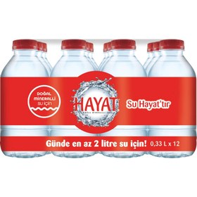 Resim Hayat Su 12x330 ml 