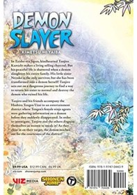 Resim Slayer: Kimetsu No Yaiba, Vol. 9: Volume 9 