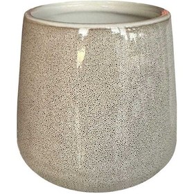 Resim Primanova Bjorn Diş Fırçalık D-21142 Bej 