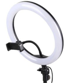 Resim whitetech 10 Inç Video Çekimleri İçin Ring Light Sürekli Beyaz Led Işık Halka 