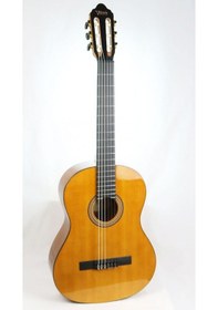 Resim Valencia Vc264 Antik Parlak Klasik Gitar + Kılıf 