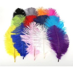 Resim Novahub Siyah Güzel Devekuşu Tüyleri Dıy Takı Zanaat Yapımı İçin Düğün Parti Dekor Aksesuarları Düğün Dekorasyon 15-20cm 10pcs 