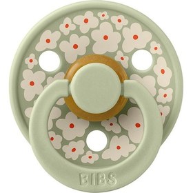 Resim Bibs Colour Studio Kauçuk Emzik No:1 Jasmine Field 0-6 Ay Mint 