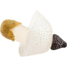 Resim Novahub Jms Mükemmel Mantar Kalıp Renkli Pvc Dekoratif, Seçenekler: B 