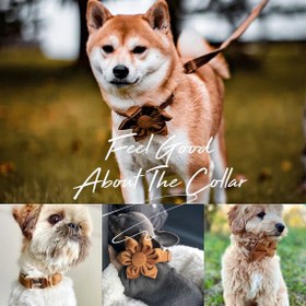 Resim Dog Collar Named Light Brown Velvet Collar 826818 - 4pcs set / S 