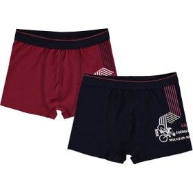 Resim Civil Boys Bike 2-10 Yaş Erkek Çocuk 2'li Boxer - Standart / 2-3 Yaş 