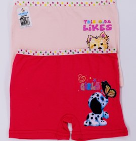 Resim Dondeza Kız Çocuk Baskılı Likralı Ikili Boxer 