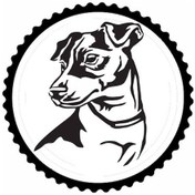 Resim Sevimli Köpek Tasarım 4.model Sticker 10 X 10 Cm 