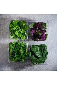 Resim Bora Plastik Pc Gastronom 1/6 Küvet Kare Şeffaf - 200 Mm - Bo146 