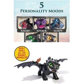 Resim Ejderhanı Nasıl Eğitirsin Sesli Işıklı 50 Cm Kanat Genişliğinde İnteraktif Dişsiz Figür 