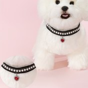 Resim Kediler ve Küçük Köpekler için Ayarlanabilir Evcil Hayvan Tasması - Dayanıklı Polyester, İnci Desenli Dantel Kenarlı, Kalp Süsü & Sentetik Taşlar (Kırmızı/Mavi/Çok Renkli) - Küçük Evcil Hayvanlar İçin Mükemmel Hediye, Samimi Petwear 