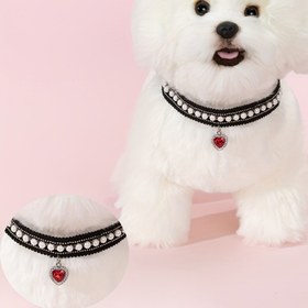 Resim Kediler ve Küçük Köpekler için Ayarlanabilir Evcil Hayvan Tasması - Dayanıklı Polyester, İnci Desenli Dantel Kenarlı, Kalp Süsü & Sentetik Taşlar (Kırmızı/Mavi/Çok Renkli) - Küçük Evcil Hayvanlar İçin Mükemmel Hediye, Samimi Petwear 