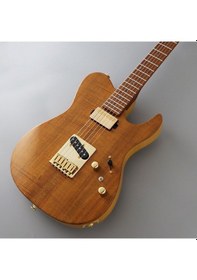 Resim Fujigen Iliad Elektro Gitar Eılew2hsrm/vnt 