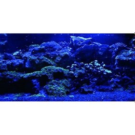 Resim Kanki Pet Akvaryum Arka Fon Yapıştırma 125x63 Cm Kp1256325 