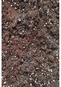 Resim Gardenbox Özel Karışım Vitaminli Sukulent Toprağı 3litre 