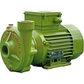 Resim Alem Bertola C40 Bahçe Su Pompası 1 Hp 220 Volt Monofaze 