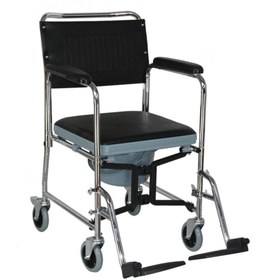 Resim POYLİN P689 Banyo Tuvalet Duş Wc Koridor Ev Içi Hasta Yaşlı Engelli Tekerlekli Sandalyesi 