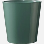 Resim Dallas Breeze Saksı Yeşil 14 cm 