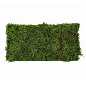 Resim OSKARYUM Orkide Toprağı, Canlı Yosun, Spagnum Yosun, Teraryum Yosunu 10 LT 