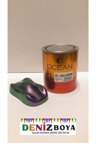 Resim Sintaş Viole Dream Renk Değiştiren Özel Boya 1kg 