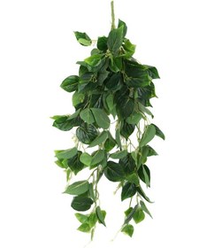 Resim Gerçek Dokulu Islak Lüx Sarmaşık 100 Cm Sivri Model 