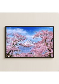 Resim Fuji Dağı Ve Sakura Ağaçları Manzara Dijital Fotoğraf Pleksi Tablo 
