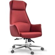 Resim Vısıon Müdür Koltuğu 