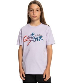 Resim Quiksilver Signature Move Erkek Çocuk Tişört Mor 