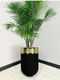 Resim Elegant Dekoratif Gold Darbuka Siyah Saksı 60cm 