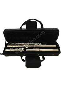 Resim Wısemann Dfl-150 Gümüş Yan Flüt Üst Kalite 