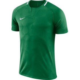 Resim Nike Futbol Formalar M Dry Chalng ii Jsy Ss 