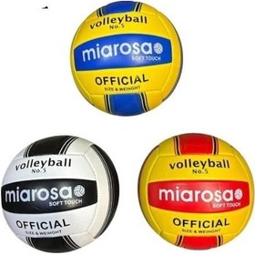 Resim Voleybol Topu Miarosa Diğer 