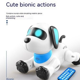 Resim Intelligent Robot Dog Remote Control Electric The Toy Dog - Stunt Dog Chinese Packaging 
