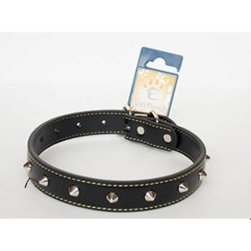 Resim Eastland Metal Aksesuarlı Deri Boyun Tasma 50 CM 