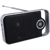 Resim GoldMaster Sr-148 Usb Radyolu Taşınabilir Hoparlör Ent 