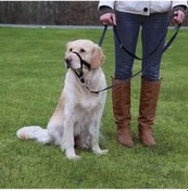 Resim Trixie Uzman Köpek Eğitim Tasması XL 46 CM 