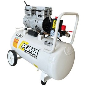 Resim Puma PSLY50-1M 50 L Yağsız Kompresör 